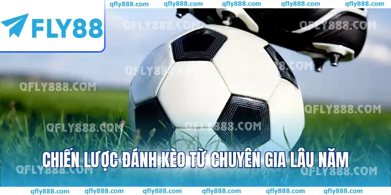 Chiến lược đánh kèo từ chuyên gia lâu năm